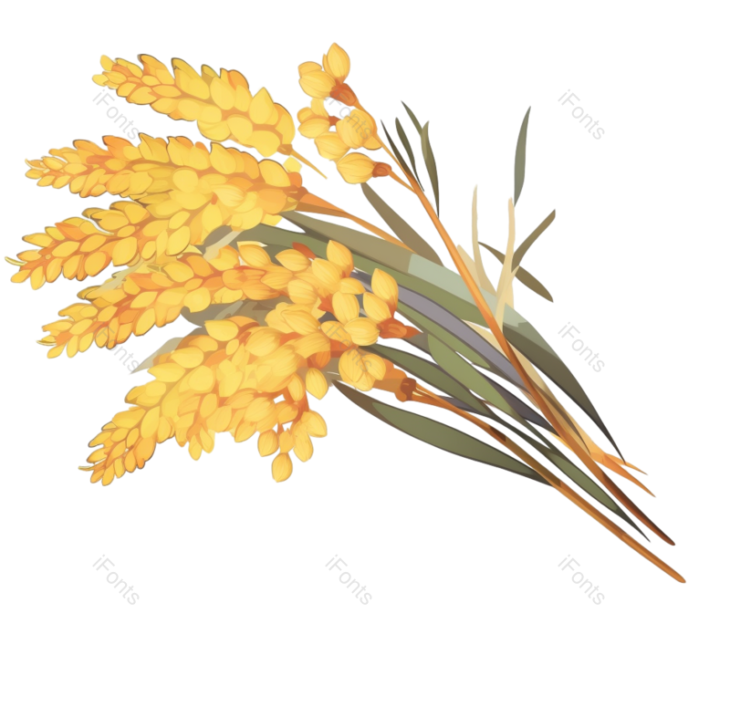 叶子图片,芒种元素,元素PNG,插画免抠素材
